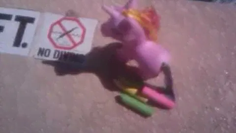 My 300 little unicorns